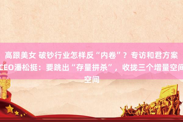 高跟美女 破钞行业怎样反“内卷”？专访和君方案CEO潘松挺：要跳出“存量拼杀”，收拢三个增量空间