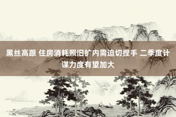 黑丝高跟 住房消耗照旧扩内需迫切捏手 二季度计谋力度有望加大